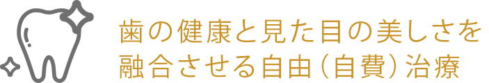 歯の健康と見た目の美しさを融合させる自由（自費）治療